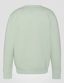 Sweatshirt col rond sage pastel en molleton épais - SAGE PASTEL